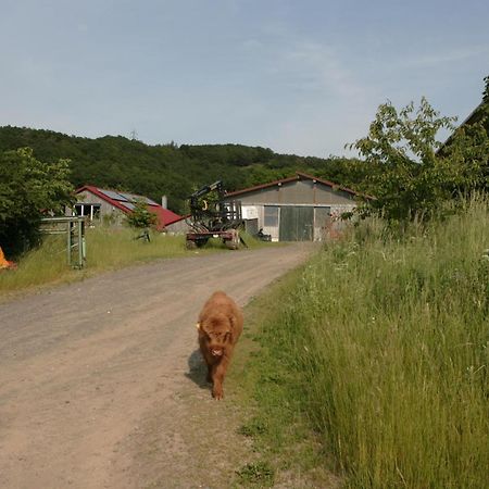 Rech Hof Urlaub Auf Dem Bauernhof Apartment Schalkenbach ภายนอก รูปภาพ