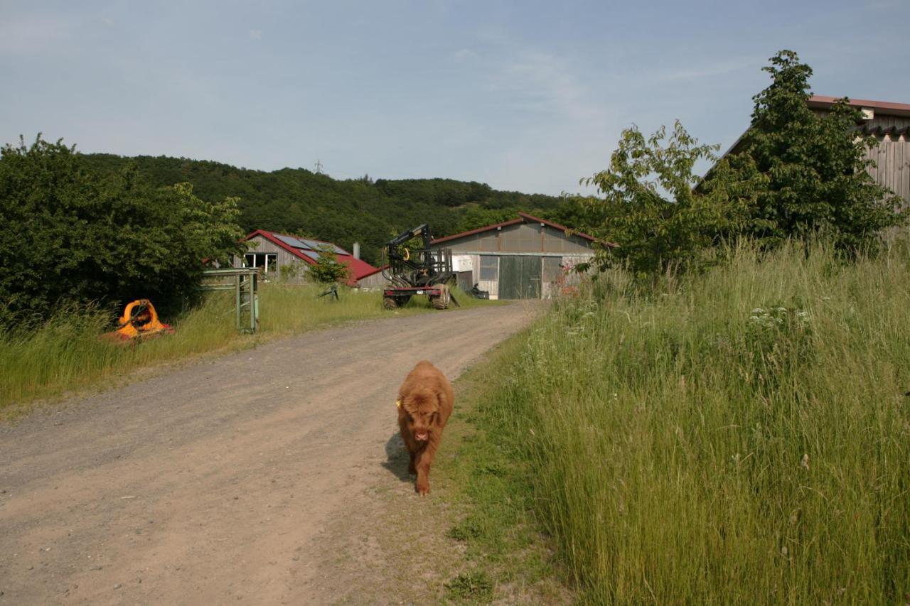 Rech Hof Urlaub Auf Dem Bauernhof Apartment Schalkenbach ภายนอก รูปภาพ