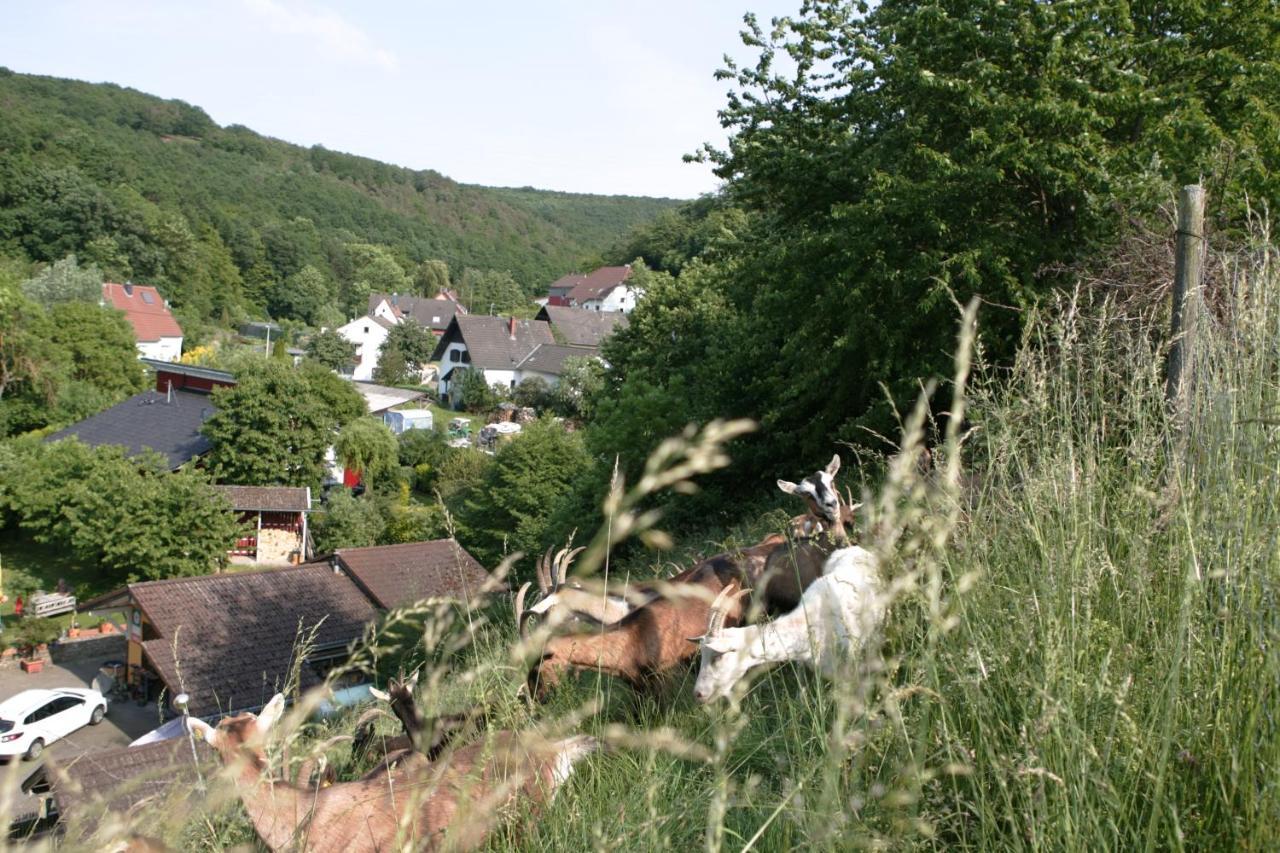 Rech Hof Urlaub Auf Dem Bauernhof Apartment Schalkenbach ภายนอก รูปภาพ